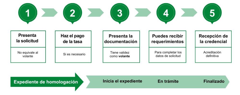 Fases del proceso para homologar estudios extranjeros